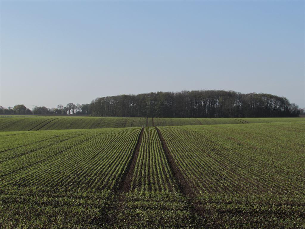 field2