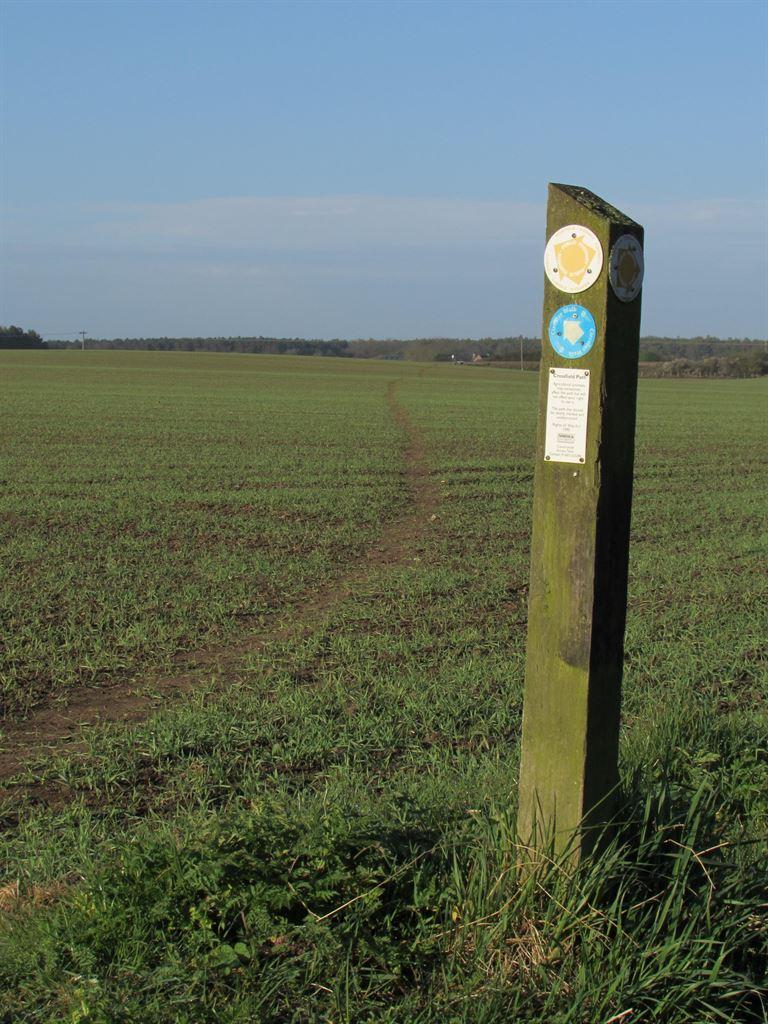 field3