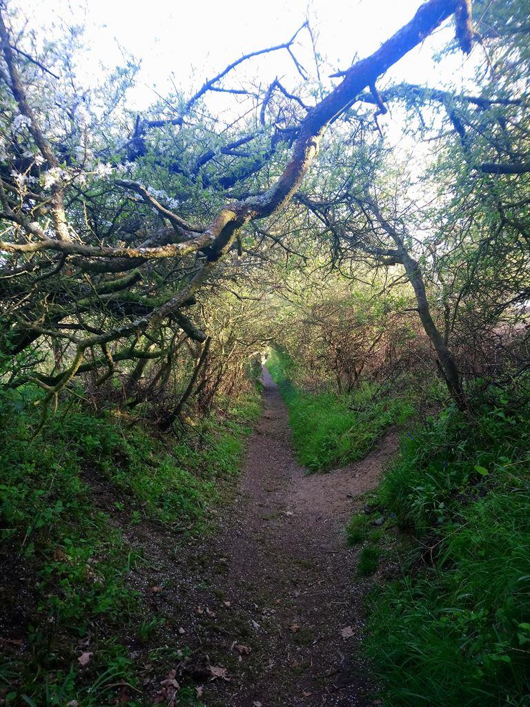 path2
