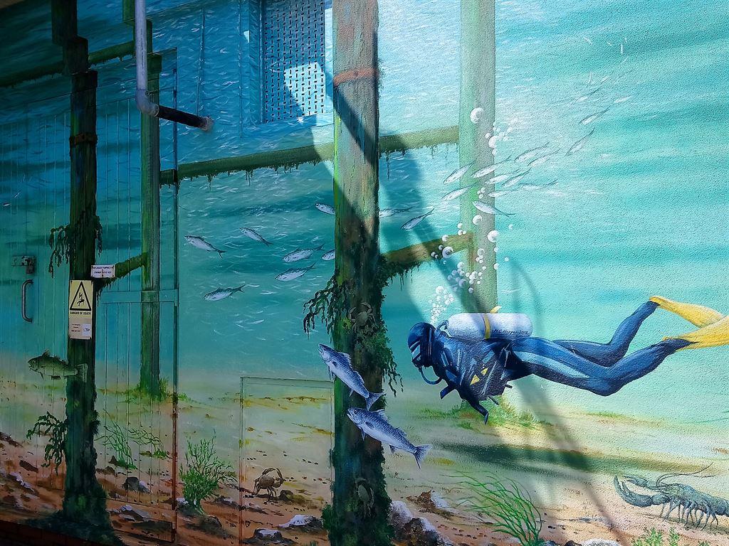 divermural