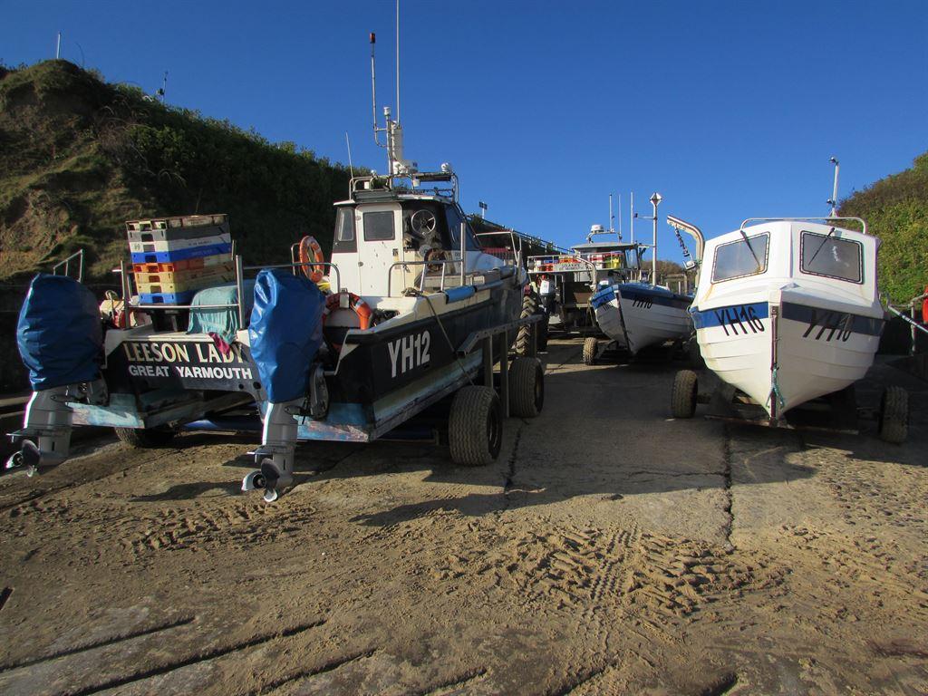 boats