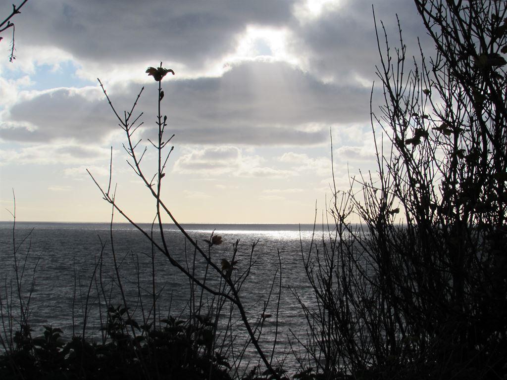 light