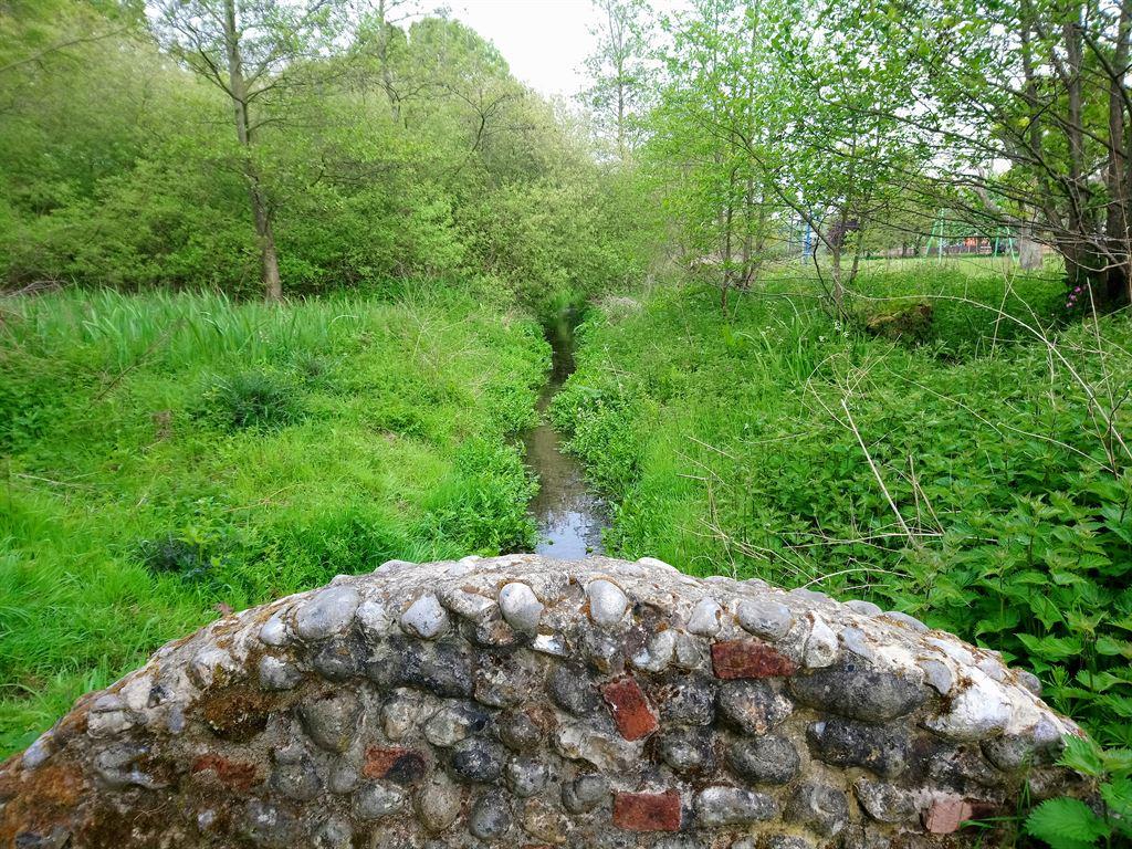 bridge