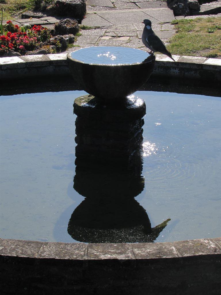 fountain