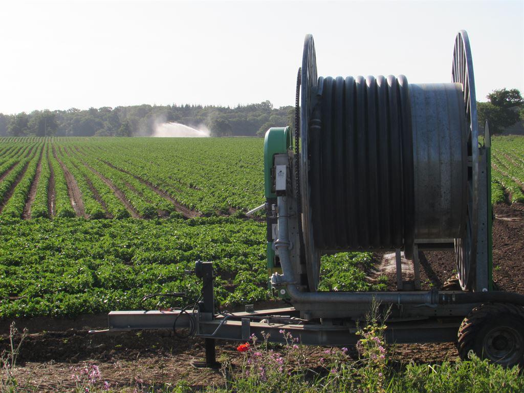 irrigator