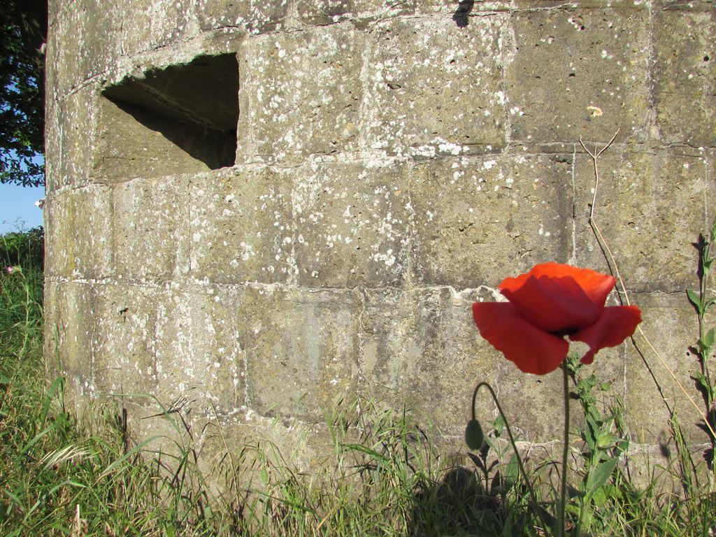 pillbox