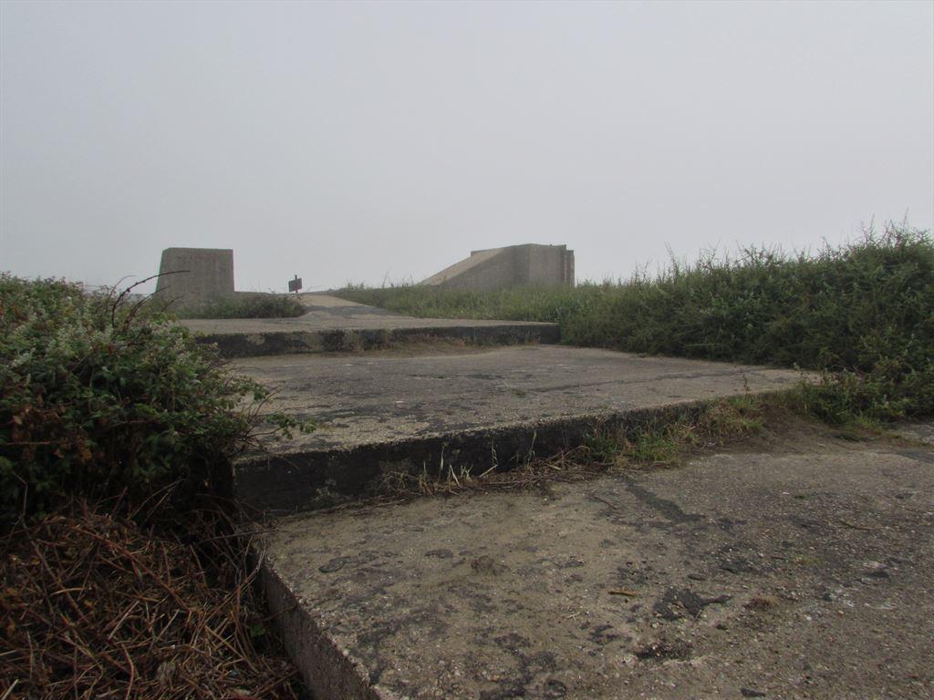 battery1