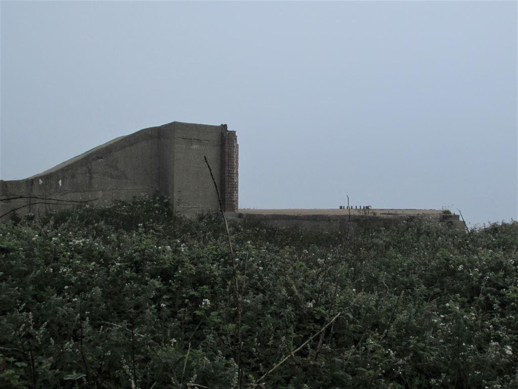 battery2