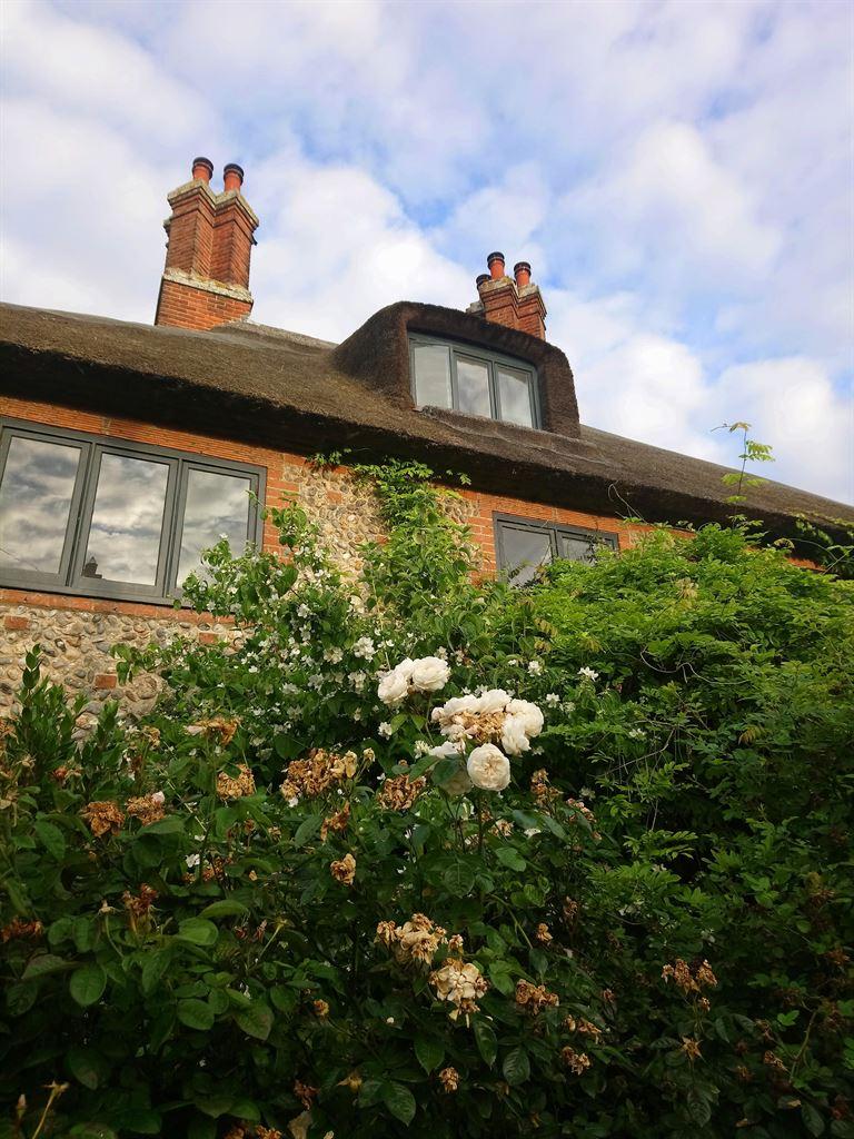 cottage