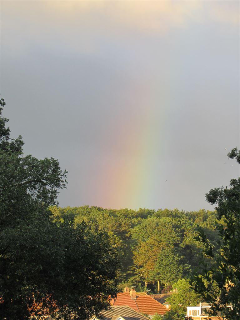 rainbow