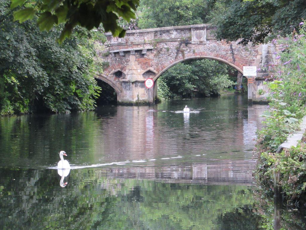 bridge3