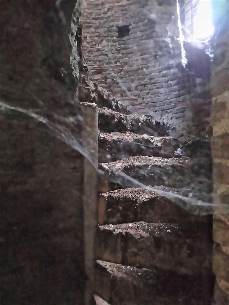 tower5