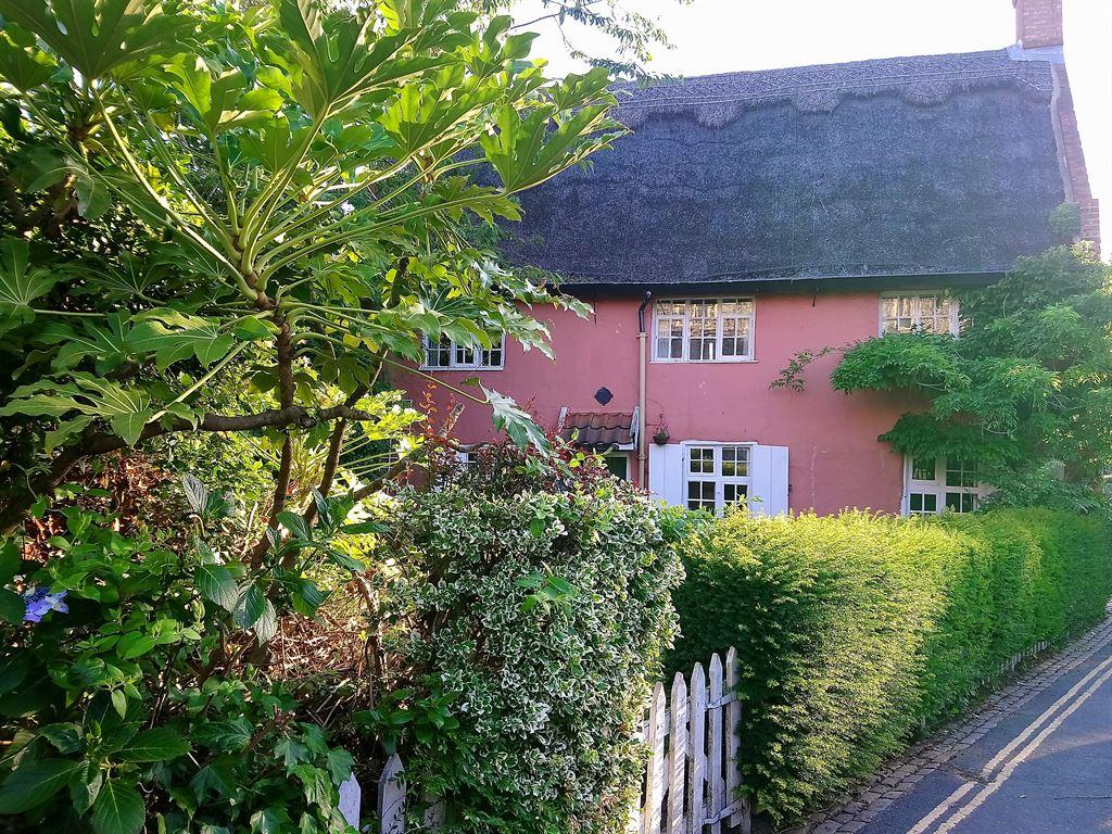 thatch