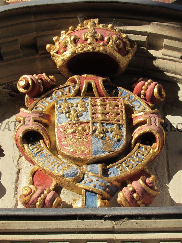 arms