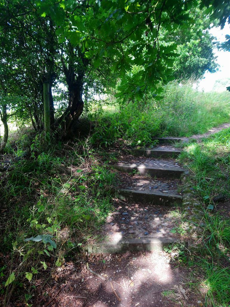 steps