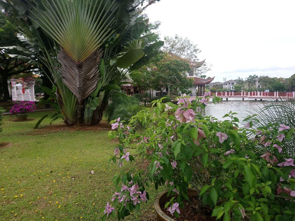 park