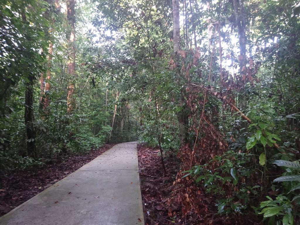 path