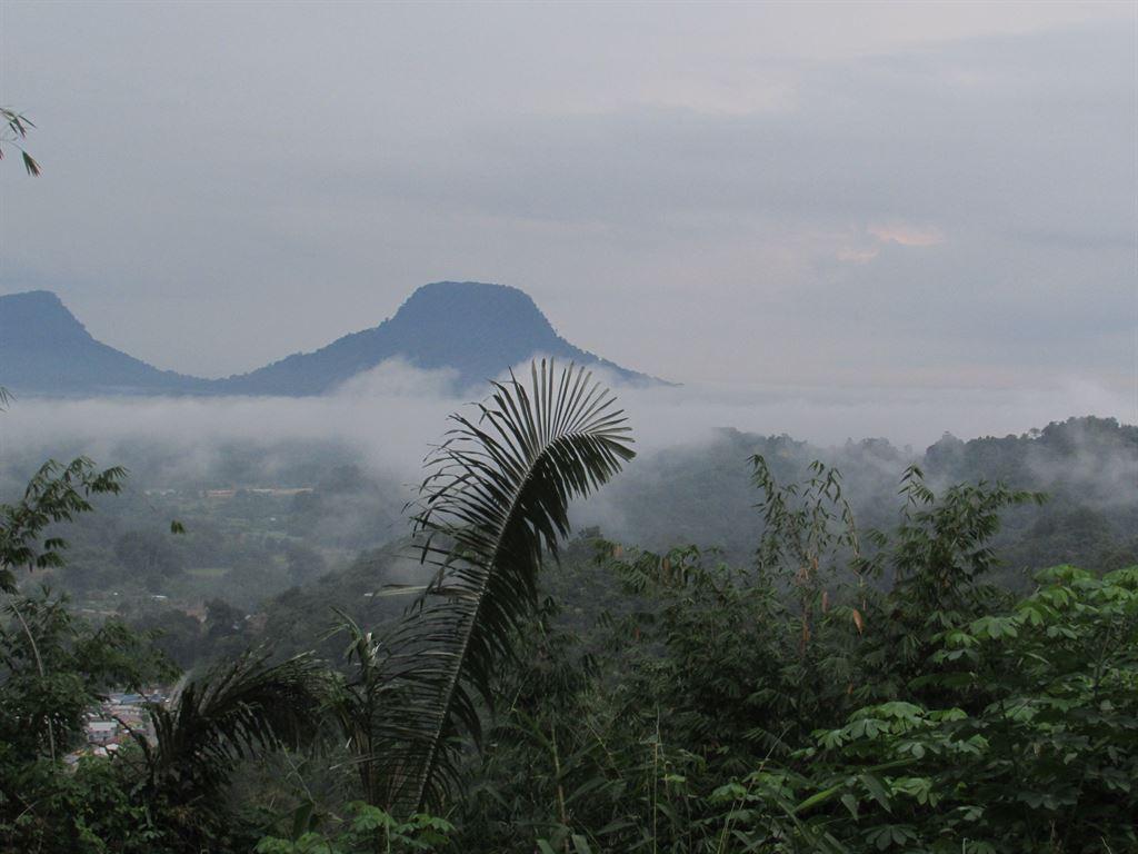 view1