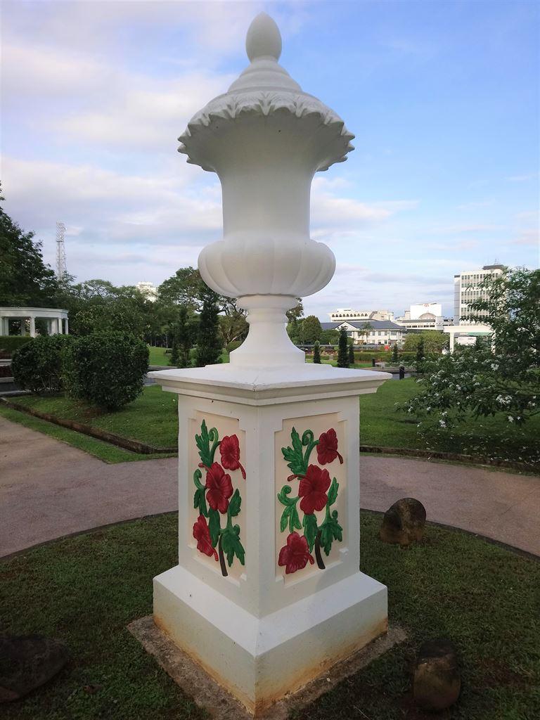 hibiscus
