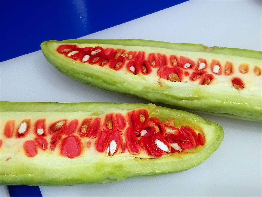 bittergourd