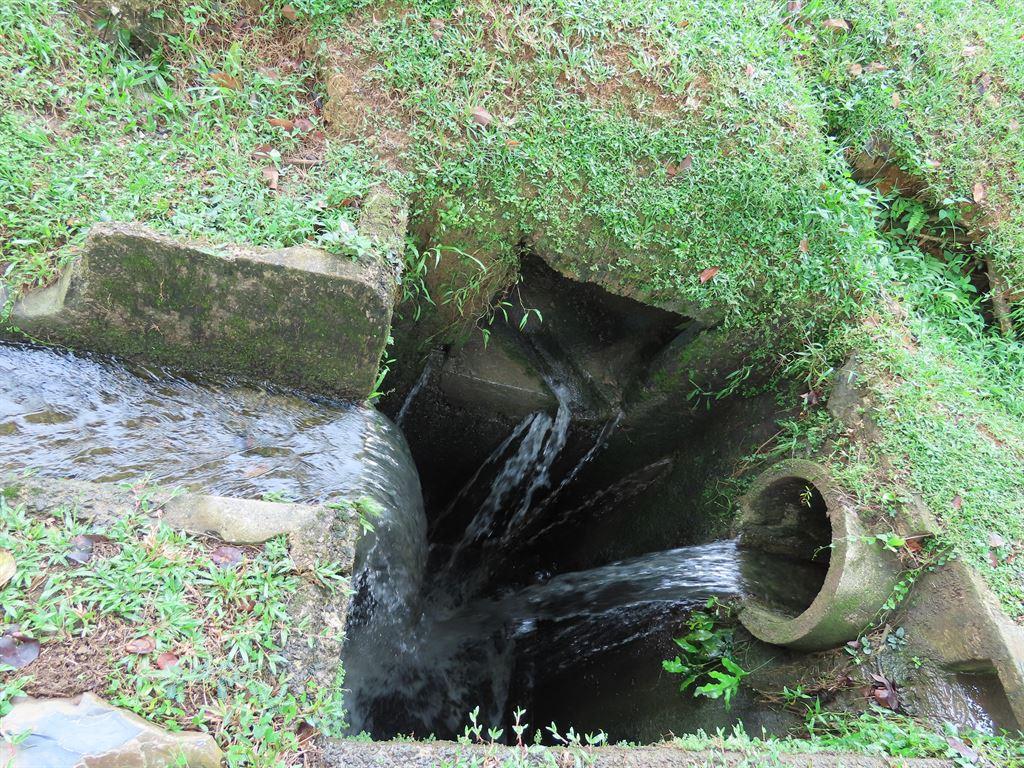 gushingdrain