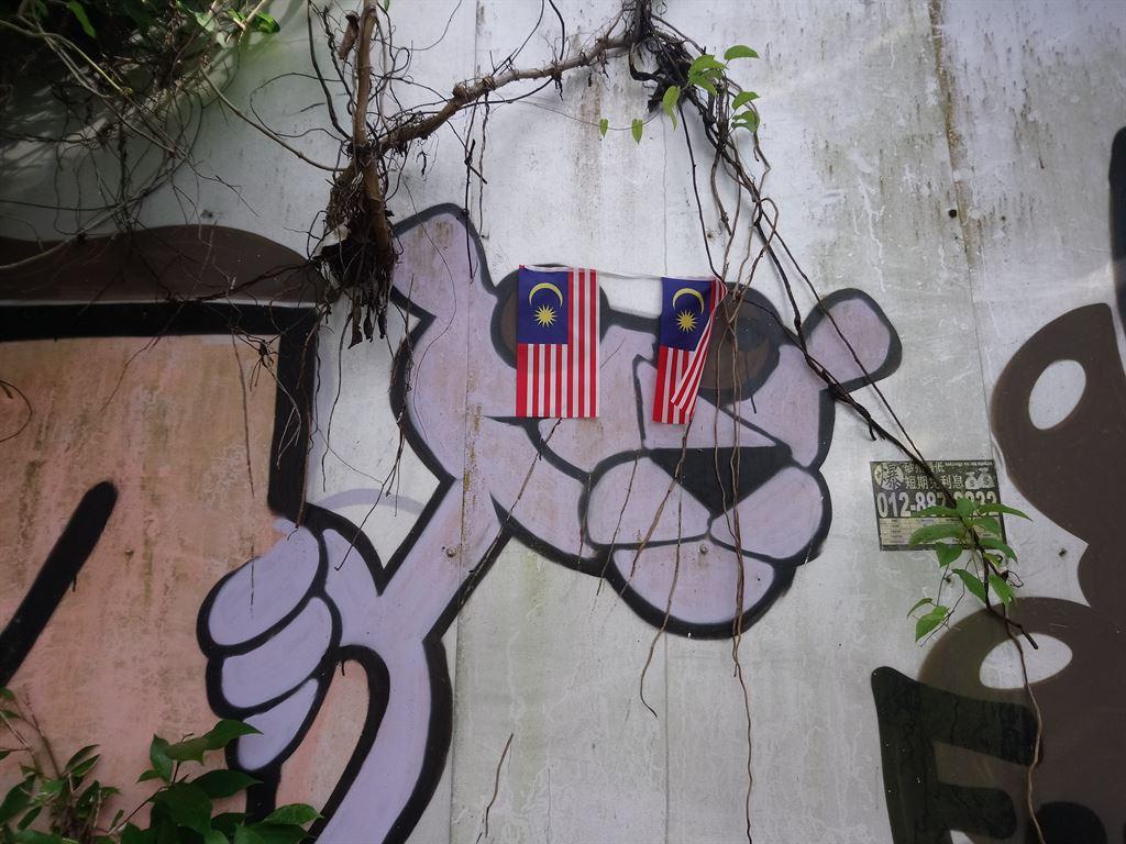 flags&panther