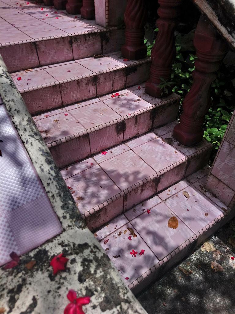 steps