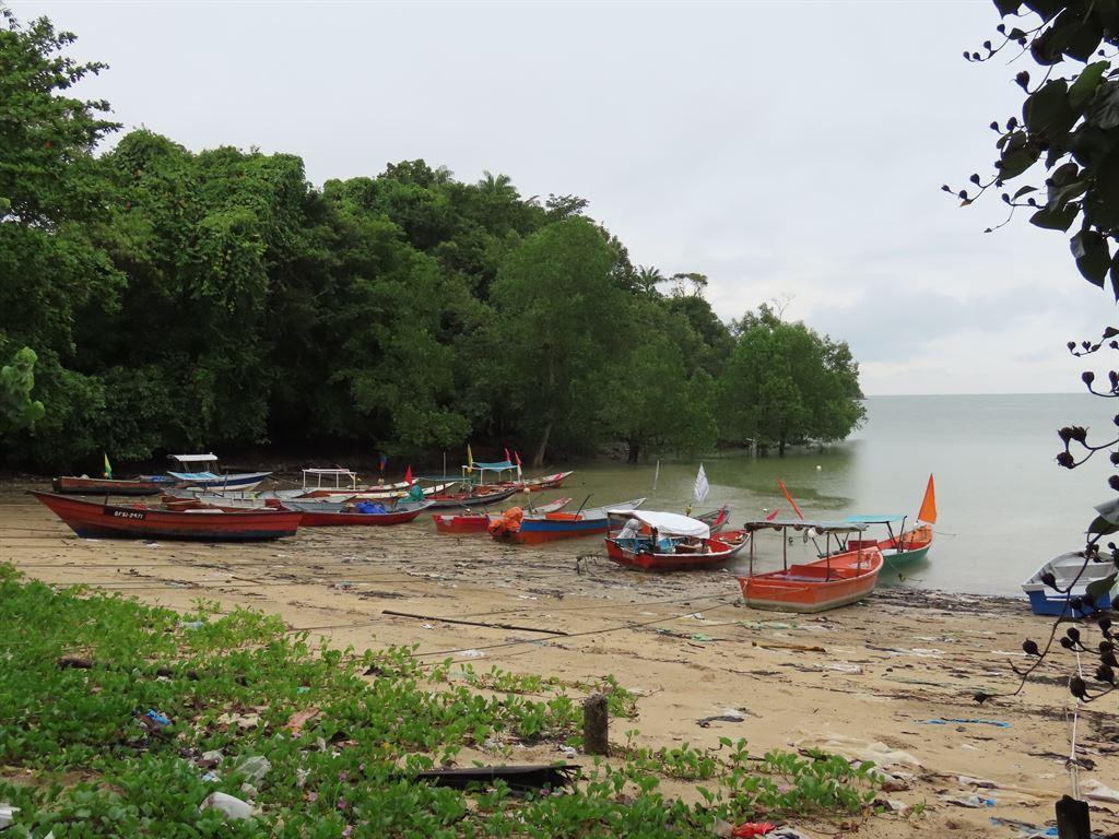 boats