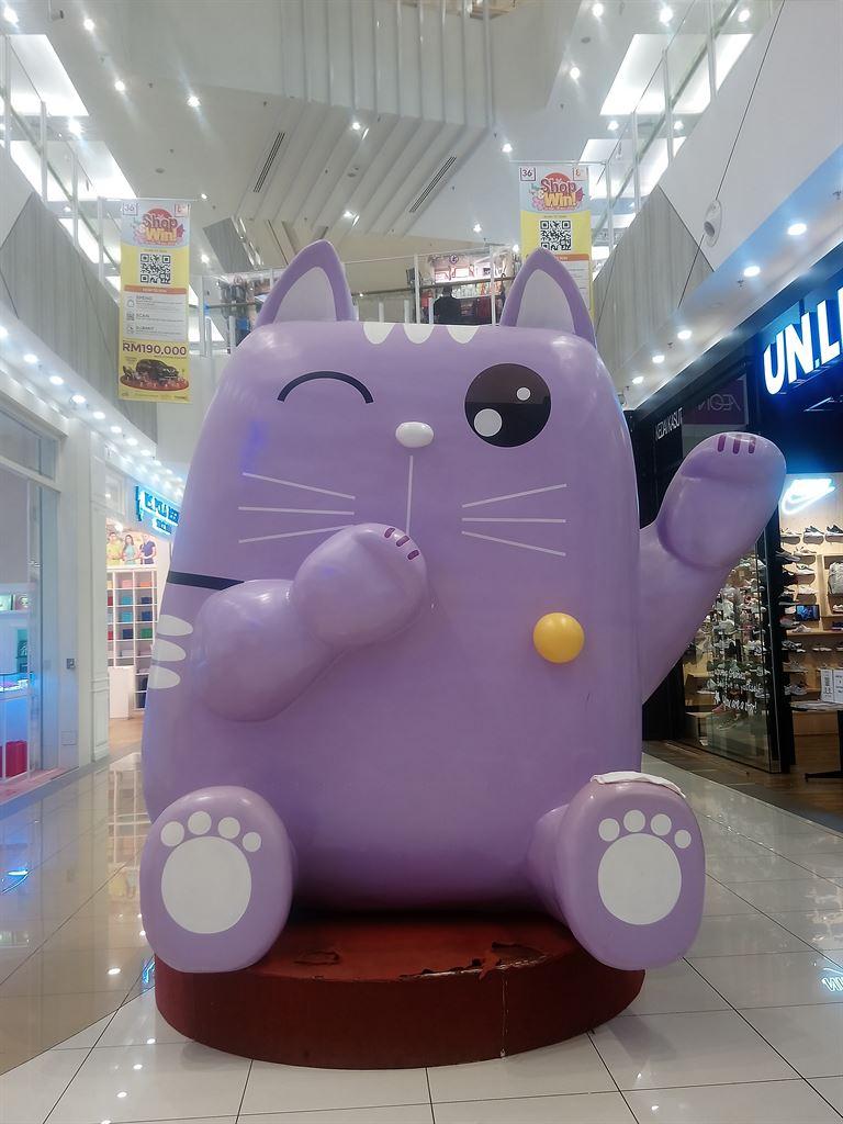 purplecat