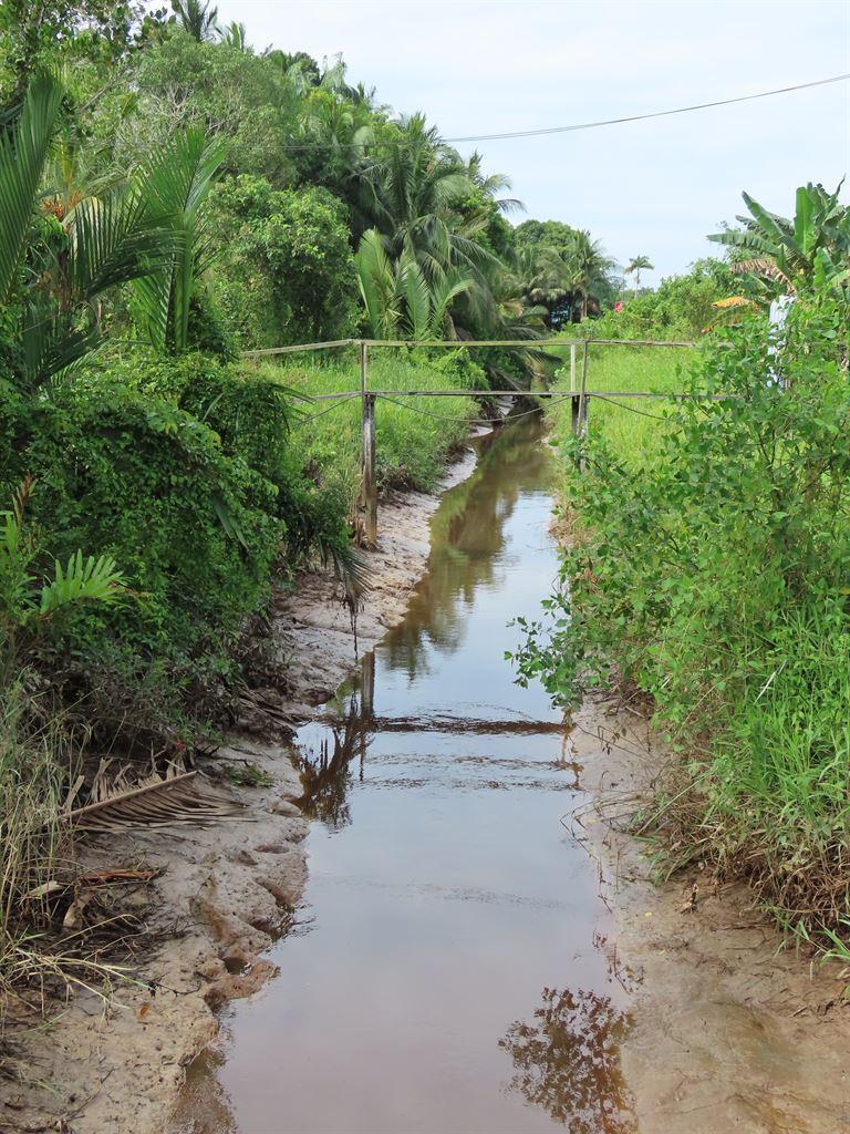 ditch2