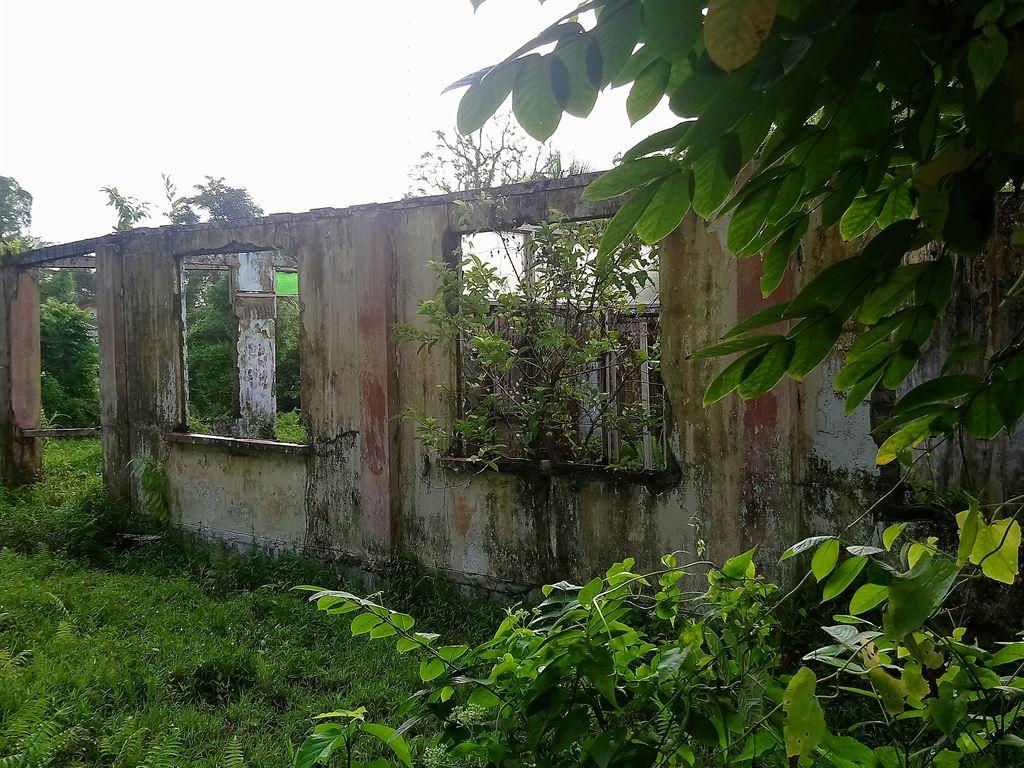 greenveg&ruin