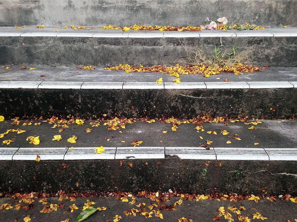 steps
