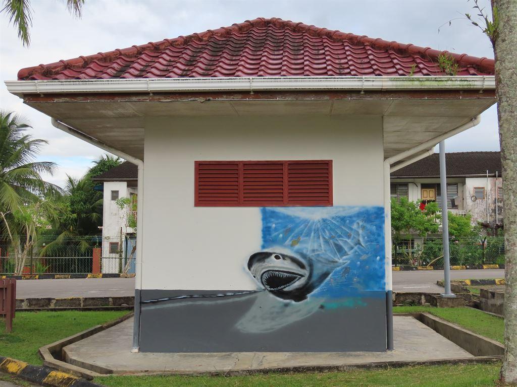 shark