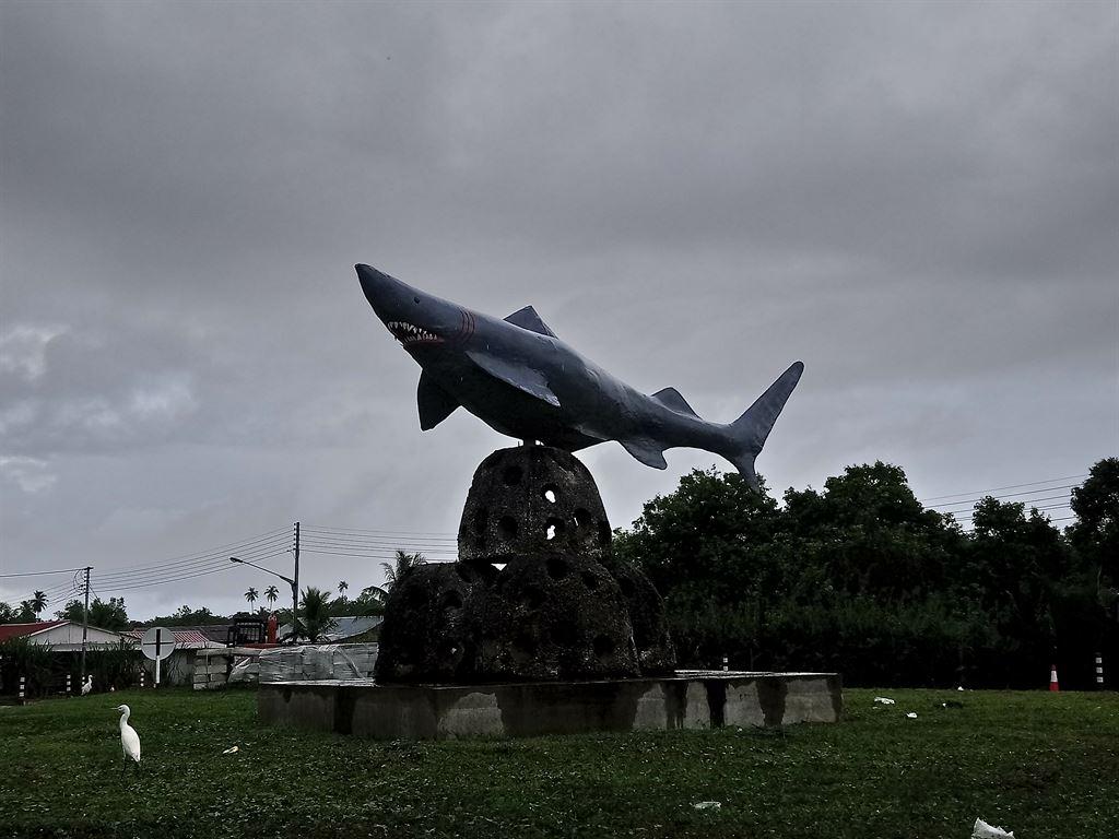 shark