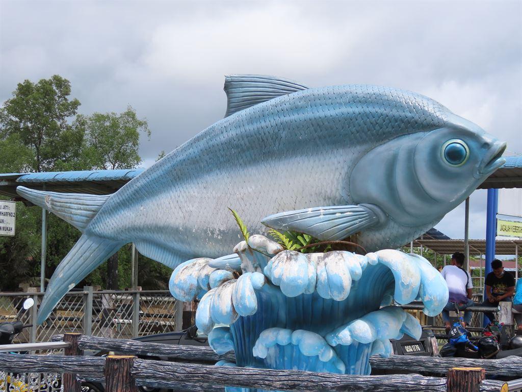 bigfish