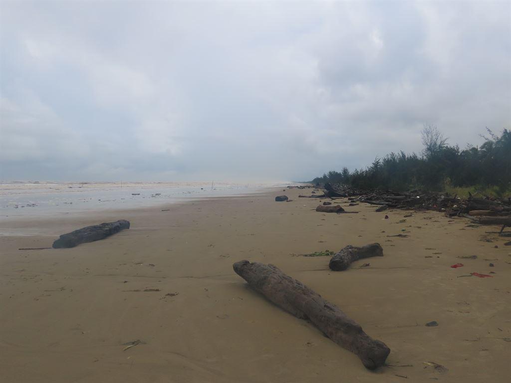 beach1