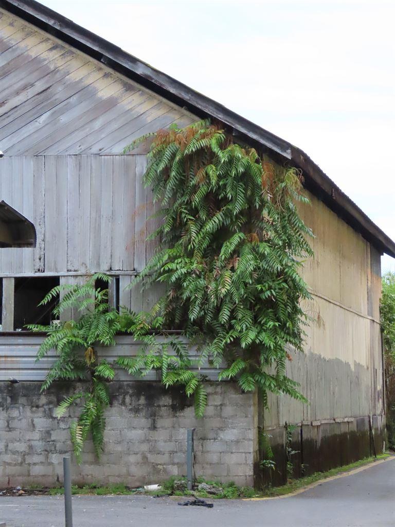 railwayshed2