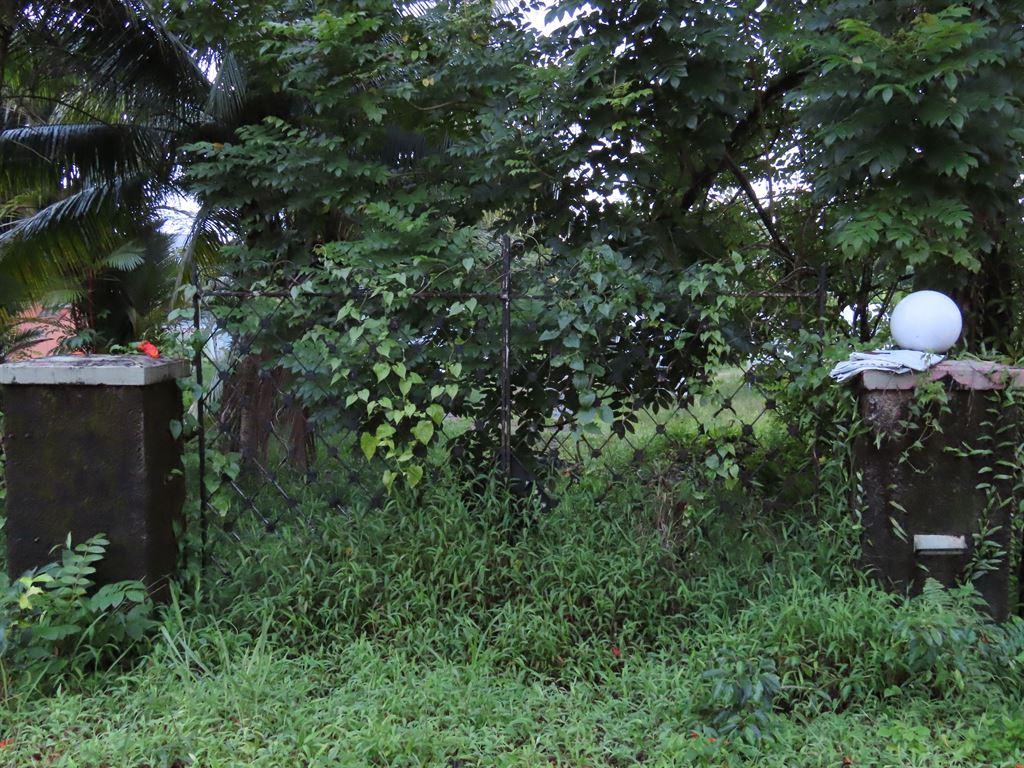 gate