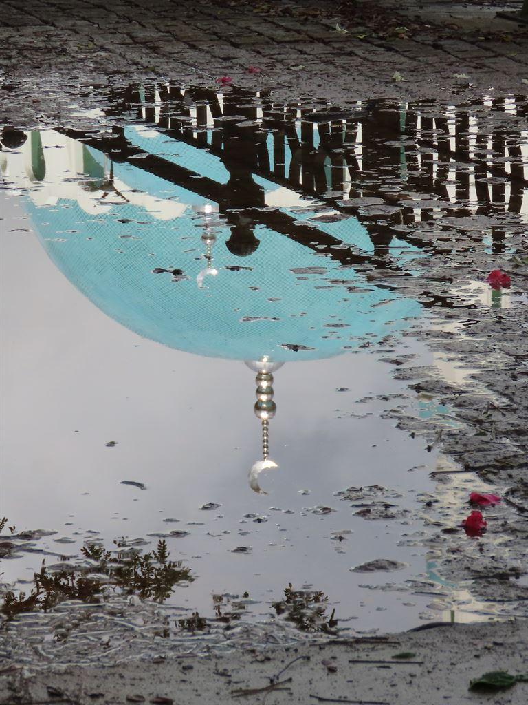 dome&puddle