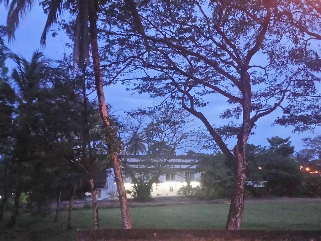 dawn