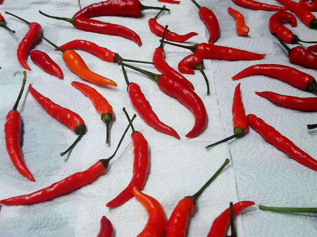 chillies