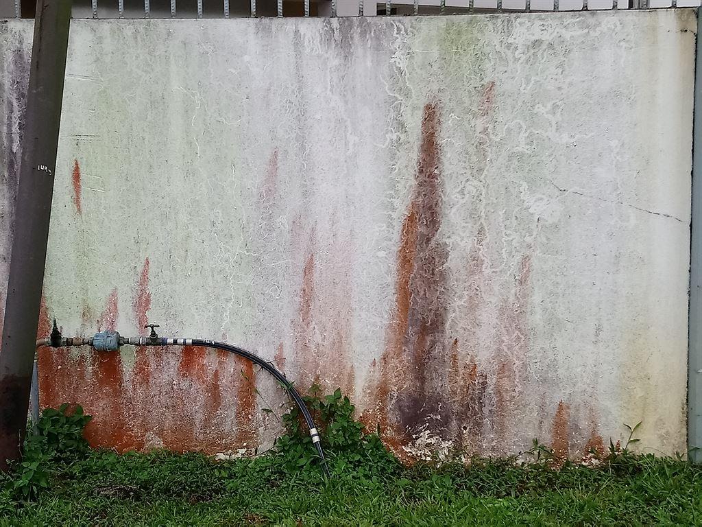 wall