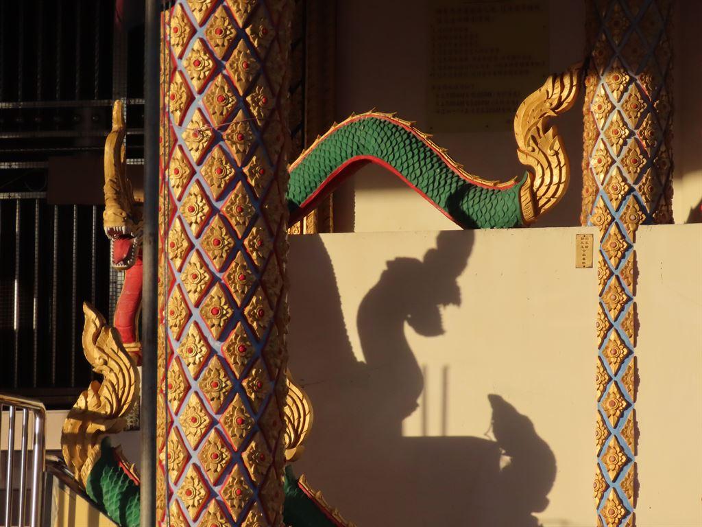 shadows