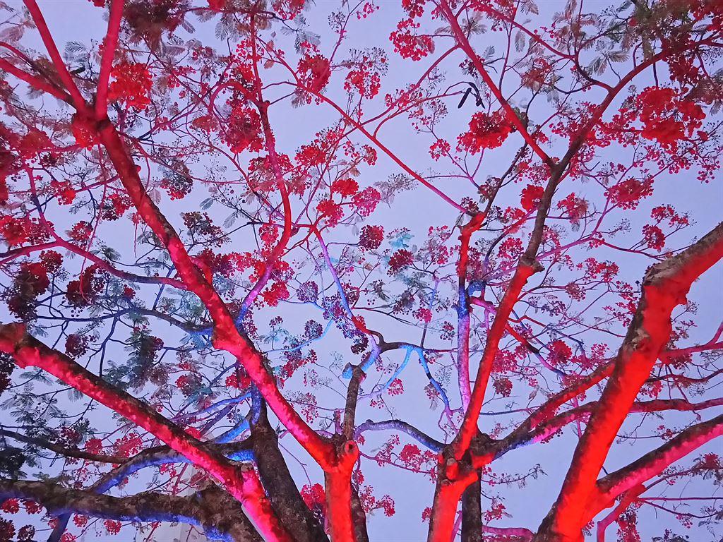 tree
