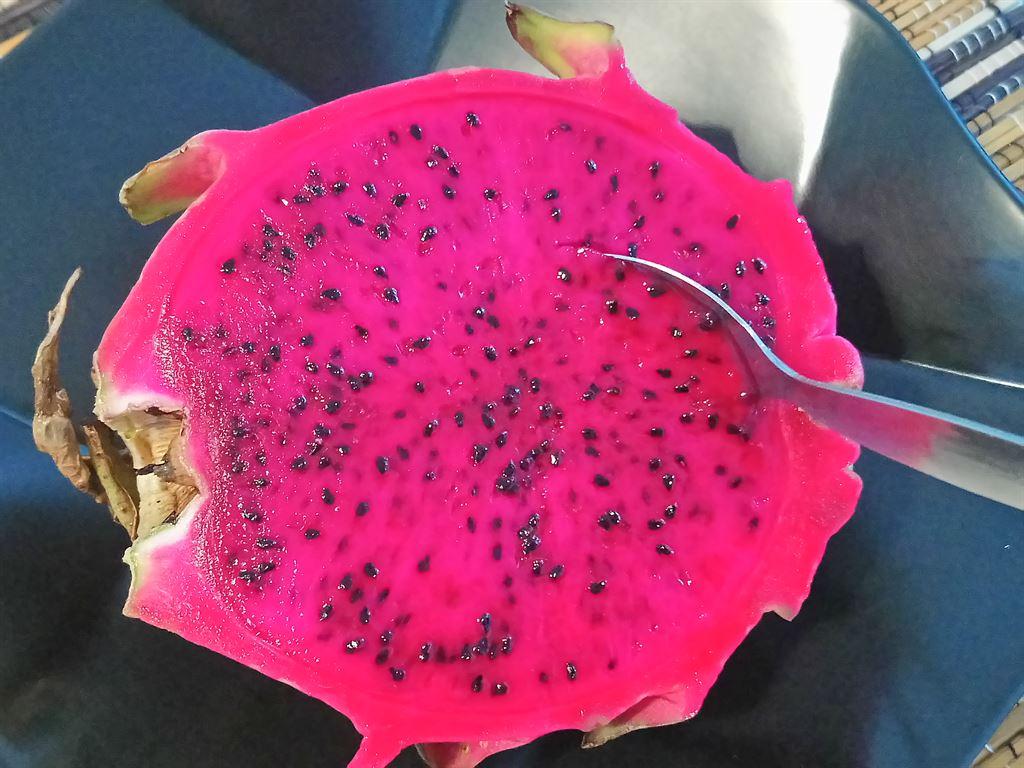 dragonfruit