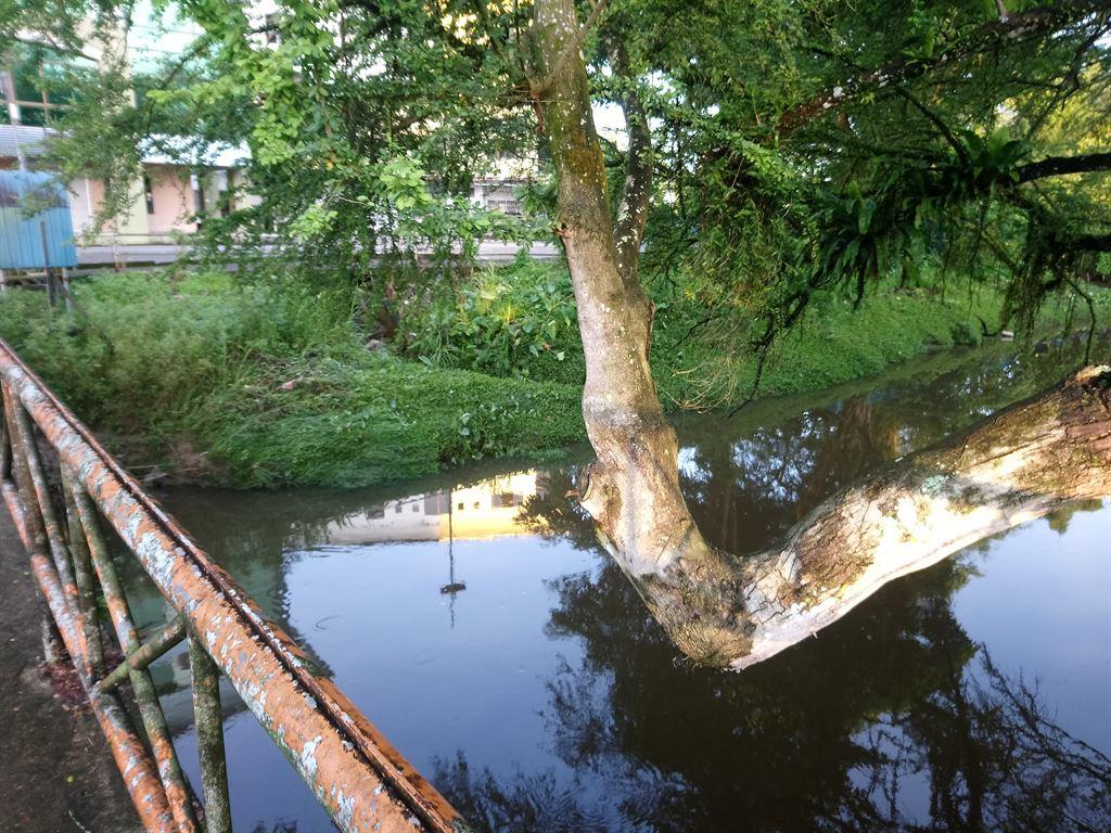 river