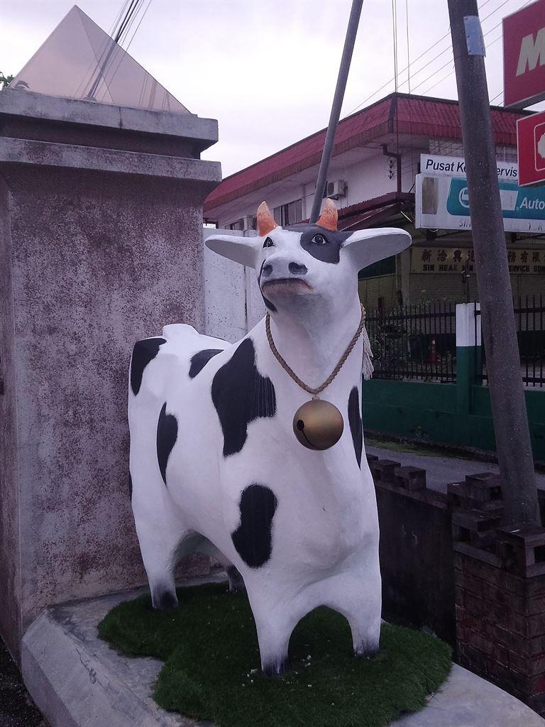 cow