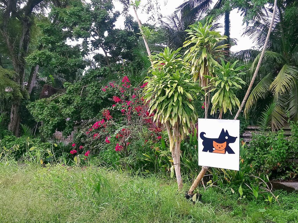 dogcat