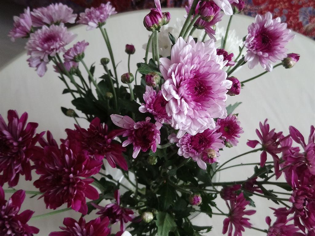 flowers