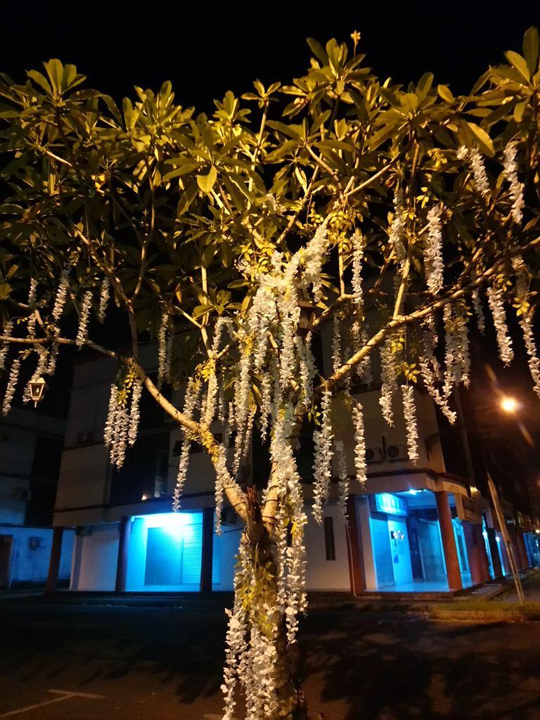 papertree